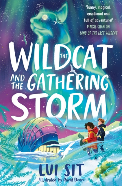 The Wildcat and the Gathering Storm-9781035040346