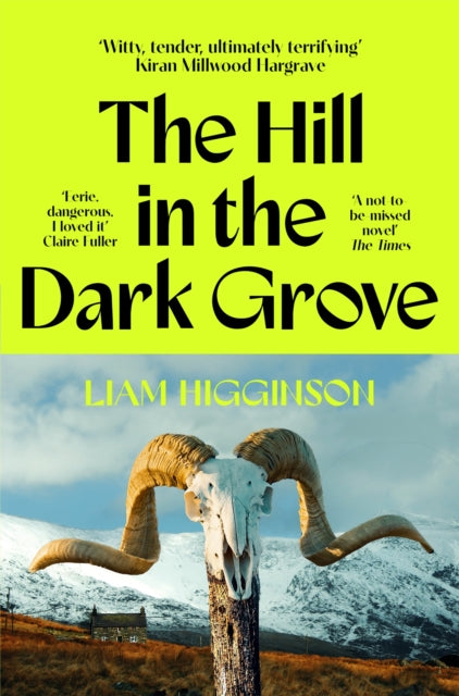 The Hill in the Dark Grove-9781035069446