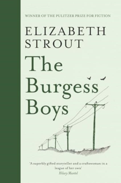 The Burgess Boys-9781398532779