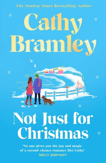 Not Just for Christmas : The must-read and utterly heartwarming festive romance coming this Christmas!-9781398713994