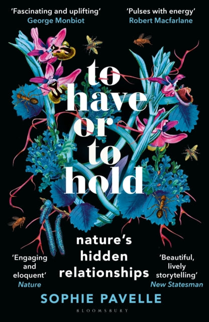 To Have or To Hold : Nature's Hidden Relationships-9781399412179
