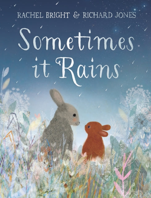 Sometimes It Rains-9781408369968