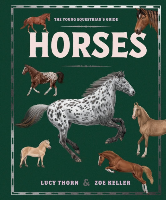 Horses-9781444981247