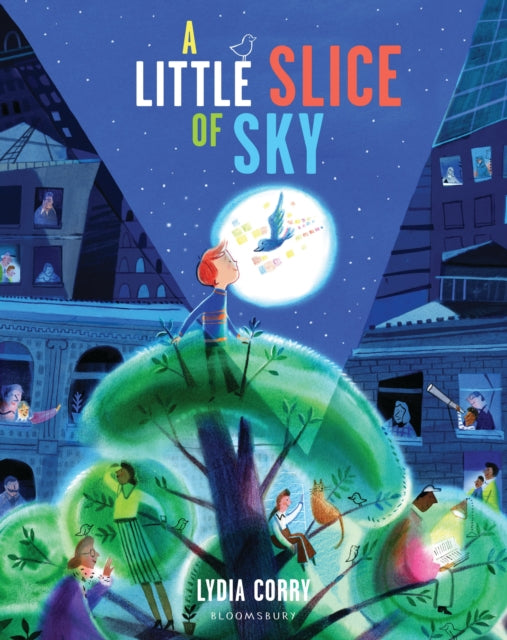 A Little Slice of Sky-9781526671608