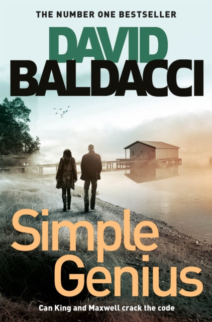 Simple Genius-9781529019179