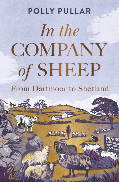 In the Company of Sheep : From Dartmoor to Shetland-9781780279879