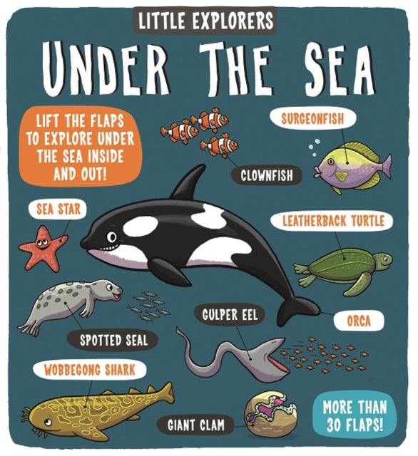 Little Explorers: Under the Sea-9781783708642