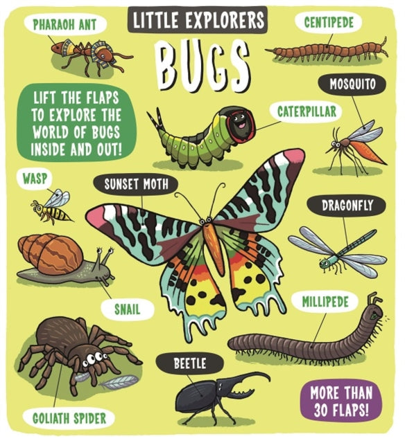 Little Explorers: Bugs-9781783708659