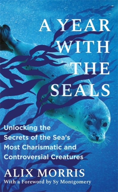 A Year with the Seals : Unlocking the Secrets of the Sea's Most Charismatic and Controversial Creatures-9781785127663