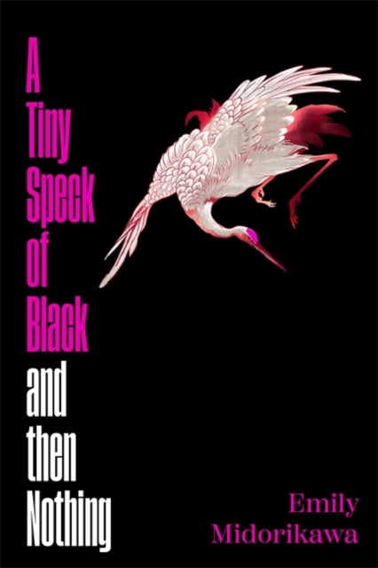 A Tiny Speck of Black and Then Nothing : Winner of the Lucy Cavendish Prize for Fiction-9781786584793