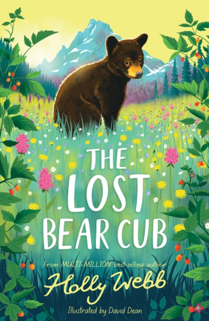 The Lost Bear Cub-9781788956062