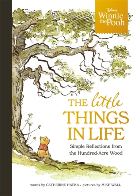 Disney Winnie the Pooh - The Little Things in Life : Simple reflections from the Hundred-Acre Wood-9781800787629