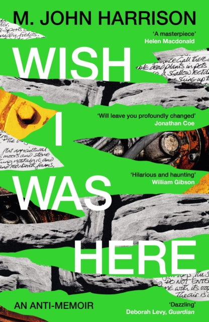 Wish I Was Here : 'The best writer you've never heard of' - Sunday Times-9781800812987