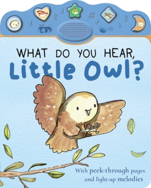 What Do You Hear, Little Owl?-9781801048859