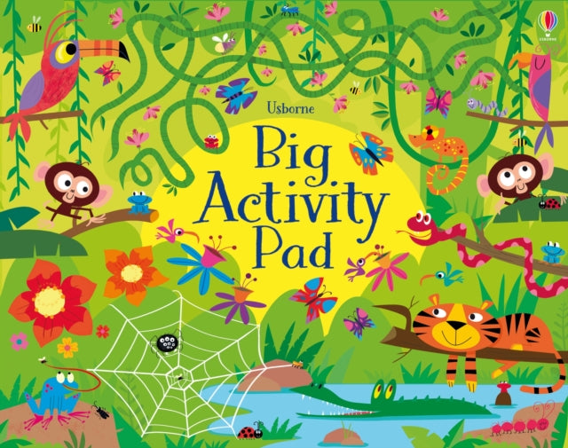 Big Activity Pad-9781801316590