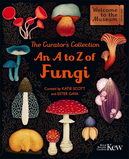 The Curator's Collection: An A to Z of Fungi : A pocket-sized Welcome to the Museum gift edition-9781835874745