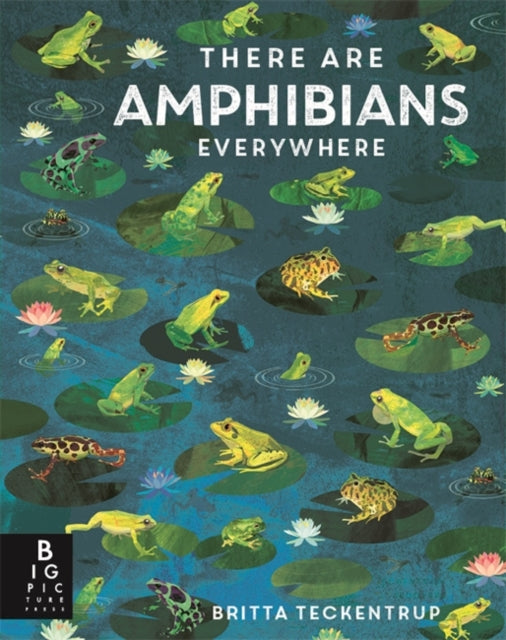 There Are Amphibians Everywhere-9781835878583