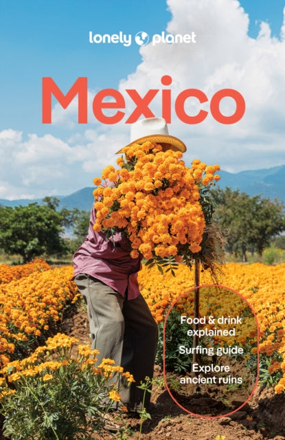 Lonely Planet Mexico : Plan the Trip of a Lifetime | Detailed Itineraries & Maps | Insider Tips | Covers ETulum, Oaxaca, Copper Canyon and more-9781837583973