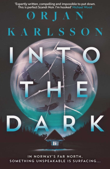 Into The Dark : The dark, twisty new instalment in the chilling Arctic Mysteries series… Volume 2-9781917764049